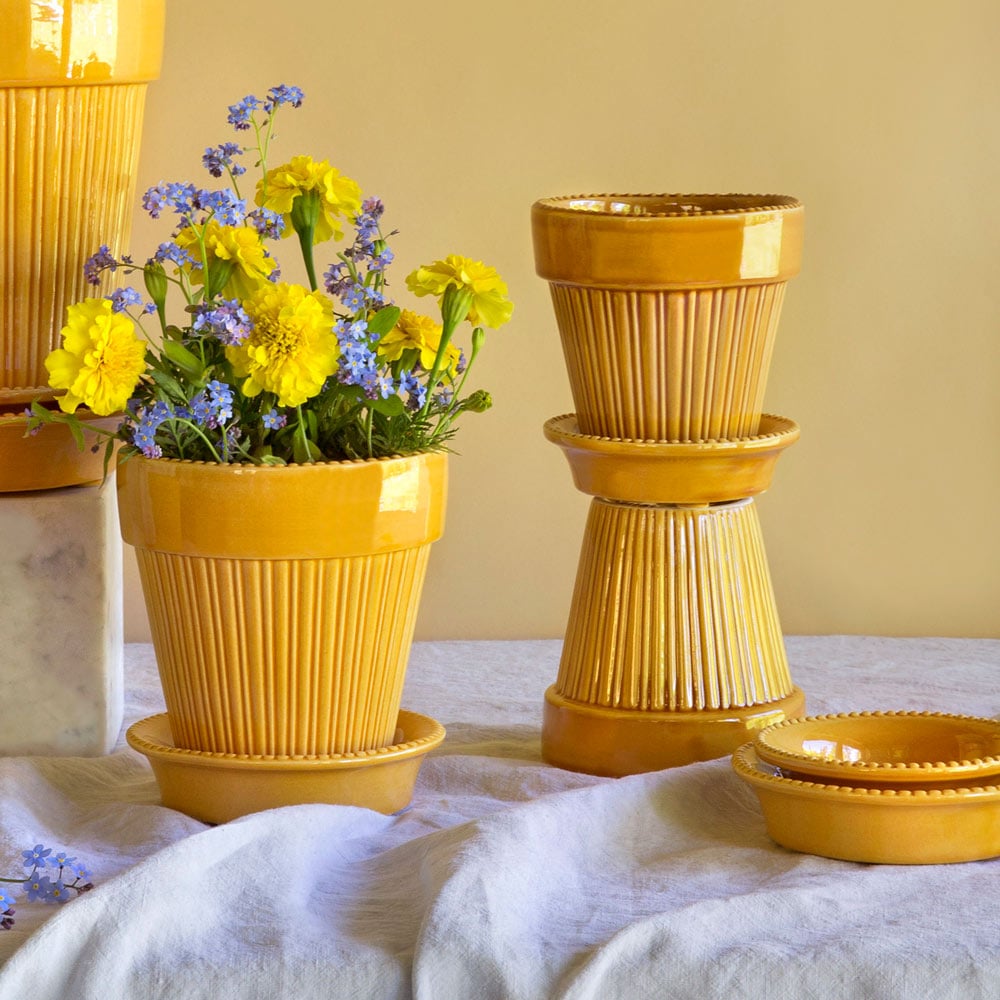 Yellow Parisian Pot and Saucer
