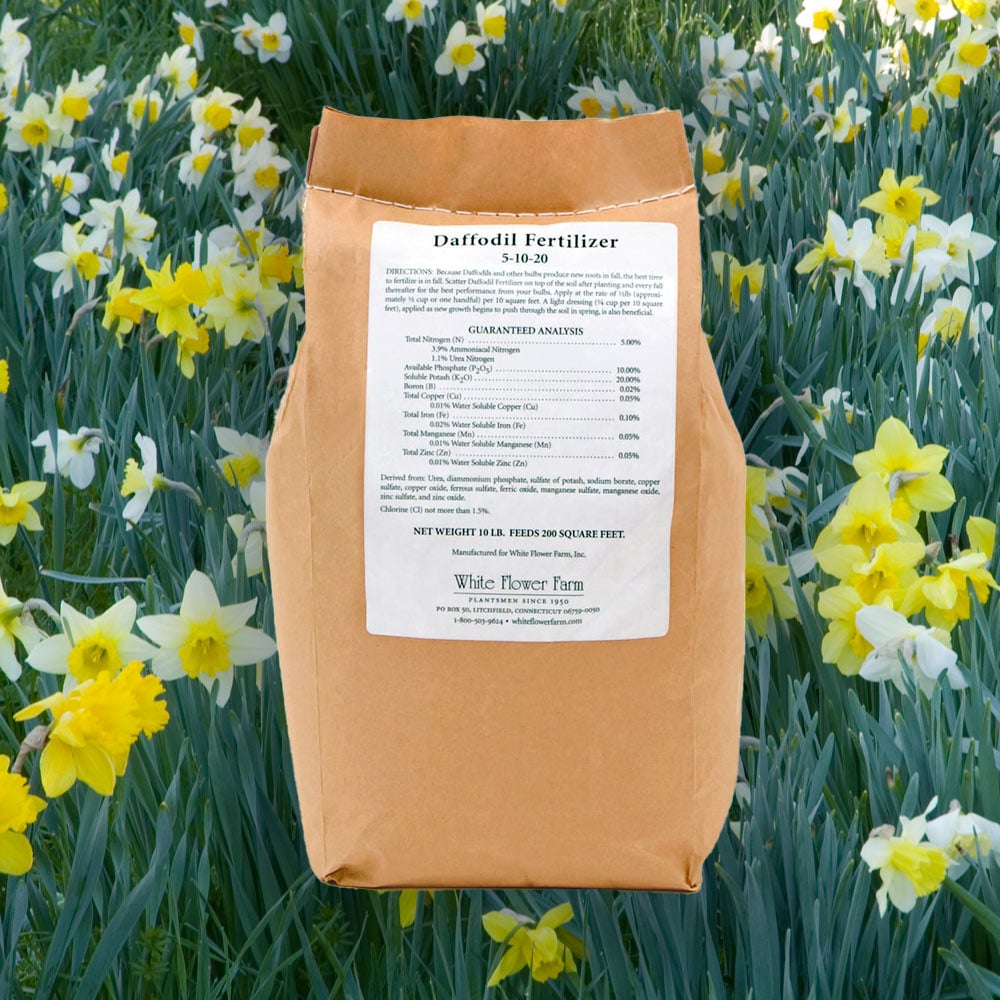 Daffodil Fertilizer, 10 lbs.