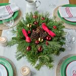 Holiday Cardinal Collection