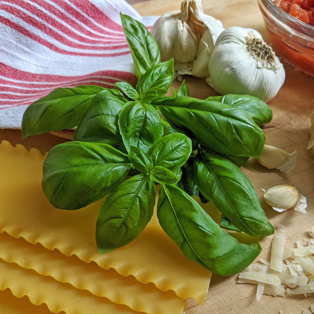 Basil 'Caesar'