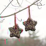  Birdseed Stars Duo - Standard Shipping Included