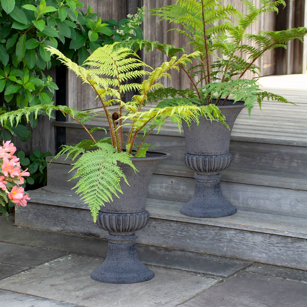 Aegean Urn, Gray