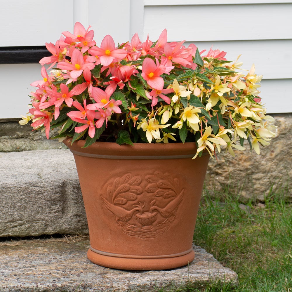 Whichford Harmony Pot