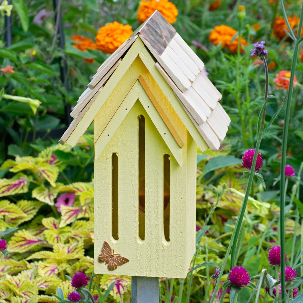 Mademoiselle Yellow Butterfly House | White Flower Farm