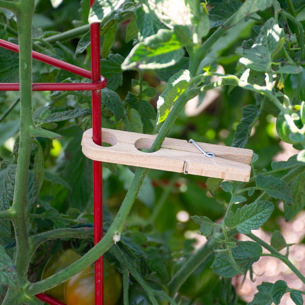 Wooden Garden Clamps