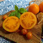  Tomato 'Marmalade Skies'