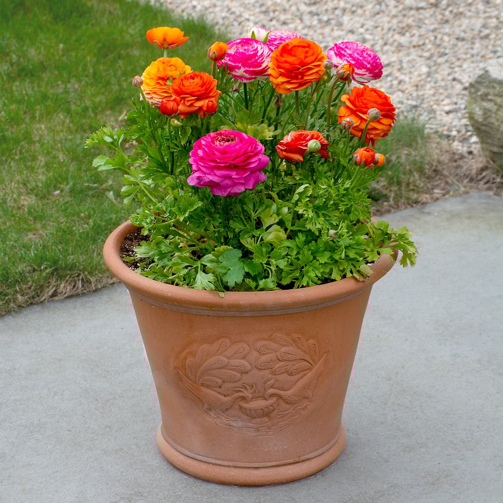 April Brights Spring Container Garden