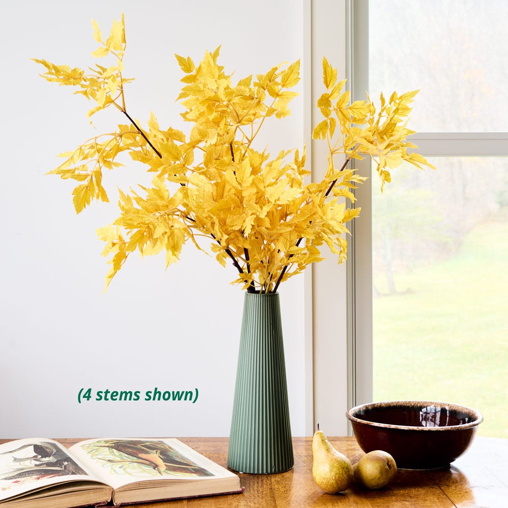 Golden Cimicifuga Faux Stem 