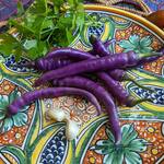 Vegetables & Herbs