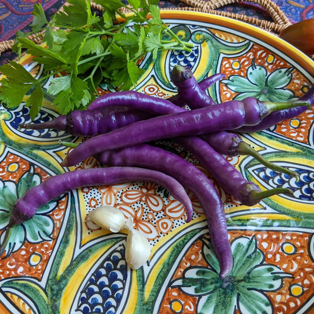 Pepper 'Buena Mulata'