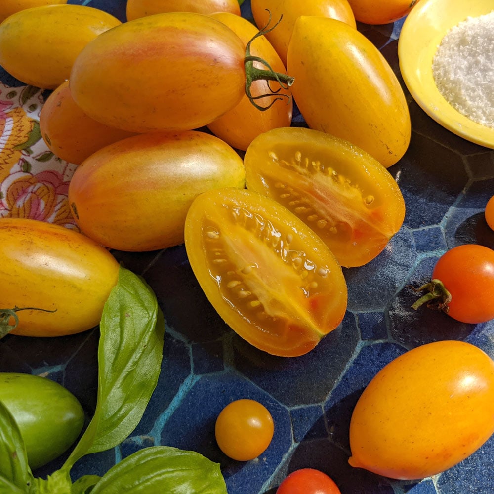 Tomato 'Blush Tiger'