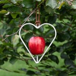  Heart-Shaped Bird Feeder