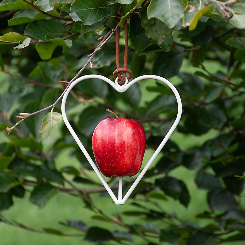 Heart-Shaped Bird Feeder