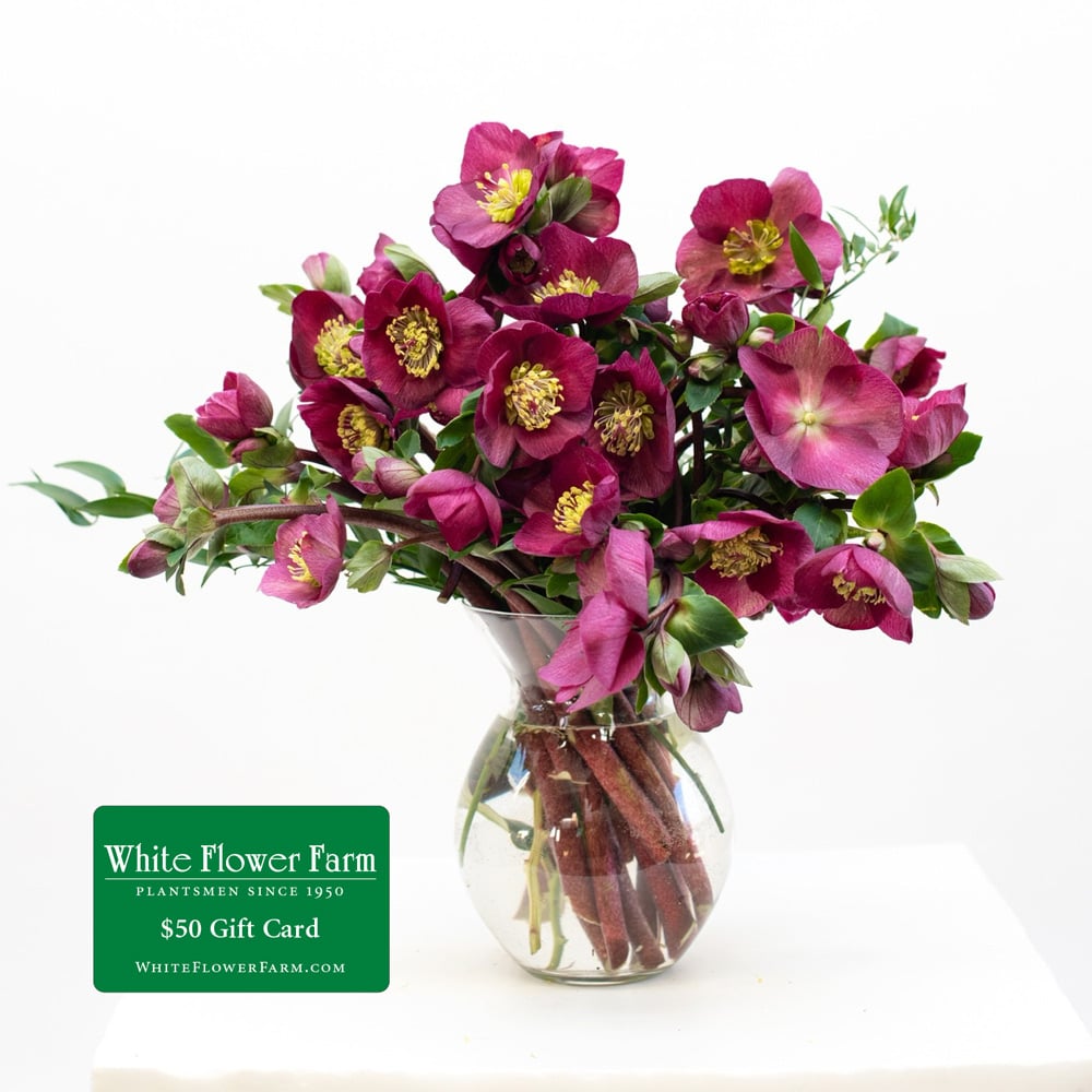 Winter Jewel Bouquet by Semia