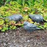 Trio of Birds Statues