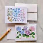  Hydrangea Note Card Set - Standard Shipping Included