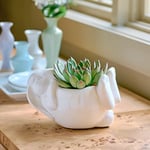 Easter Décor & Gifts