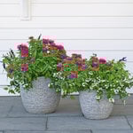  Pittsburgh Gray Stone Planter