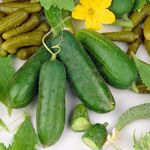  Cucumber 'Homemade Pickles'