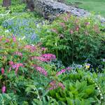  Shady Lane Garden
