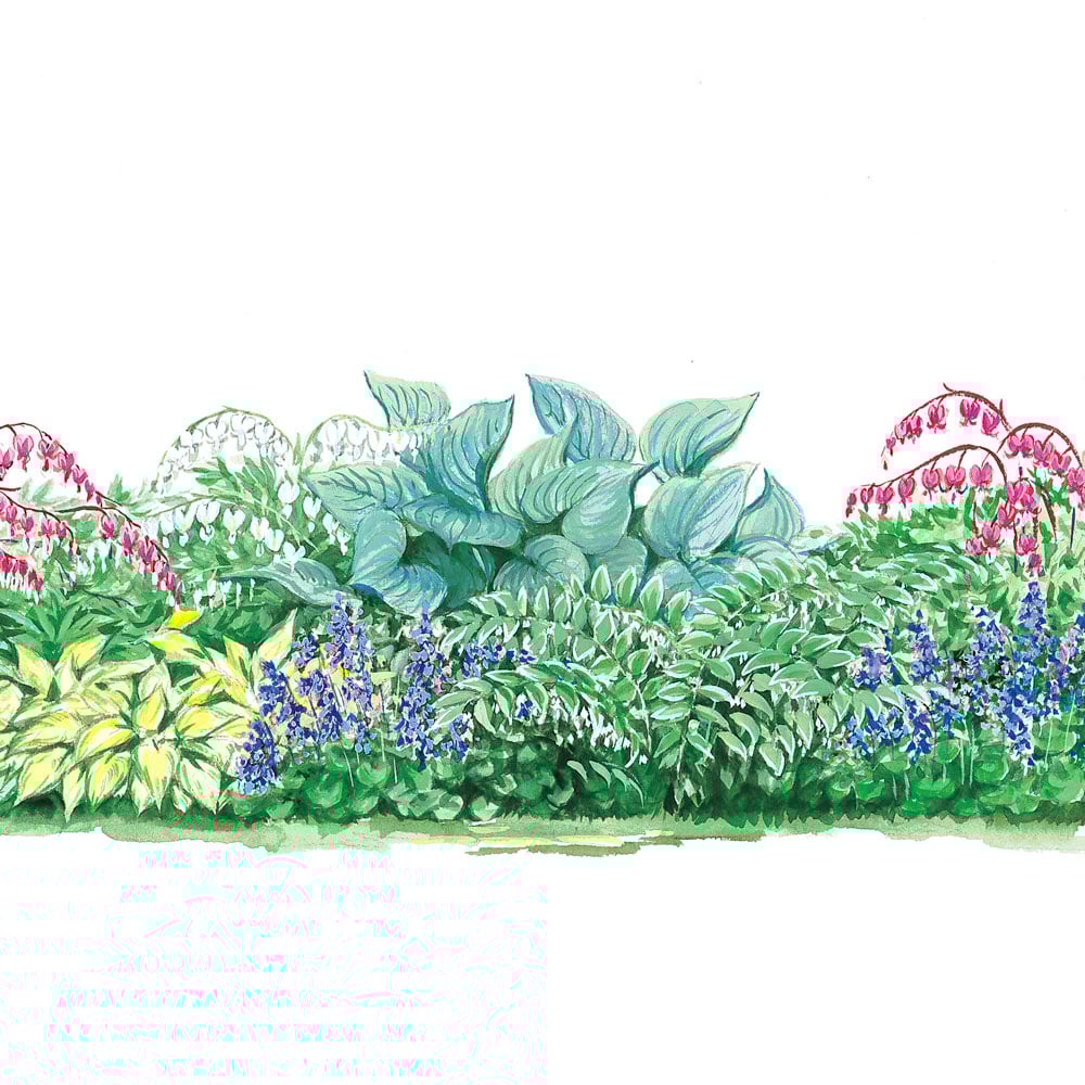 Shady Lane Garden with Emerald Isle