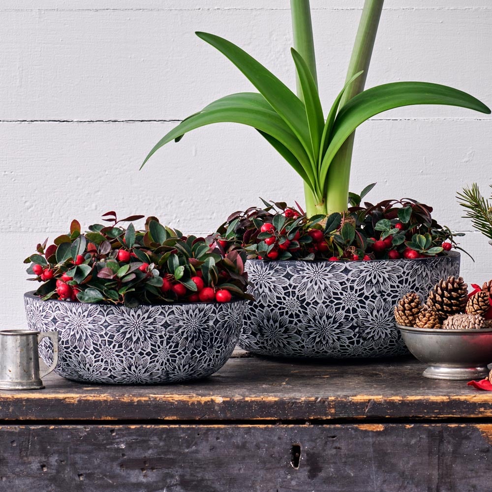 Etched Chrysanthemum Ceramic Bowl 