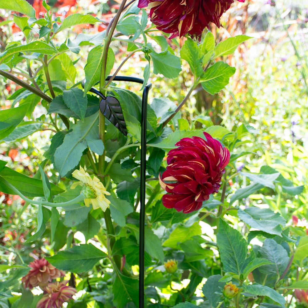 Leaf Plant Stake