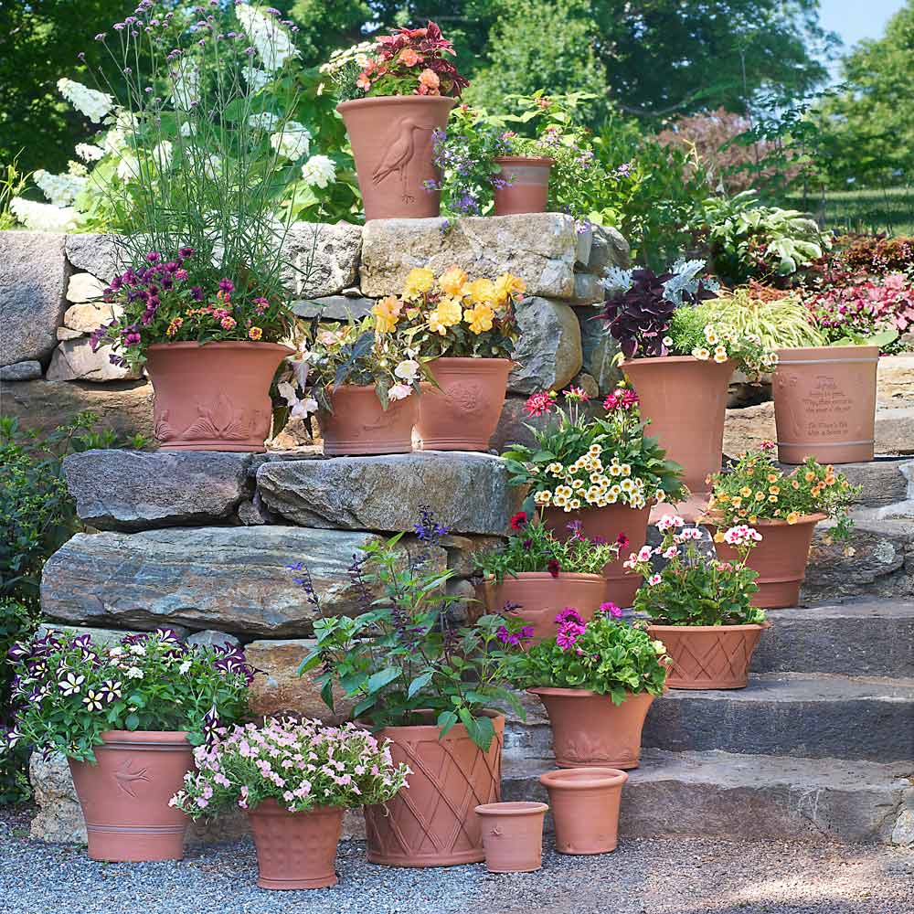 Grow A Tree Container Garden: Planting Container Flowers Under A Tree |  Gardening Know How, image size:1000x1000