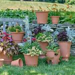 Whichford Pottery