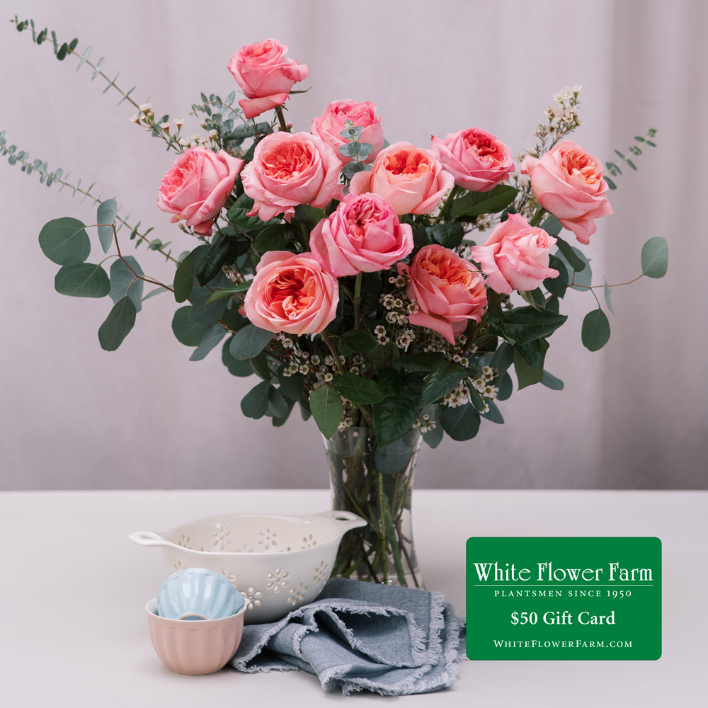 Charlotte Bouquet by Semia