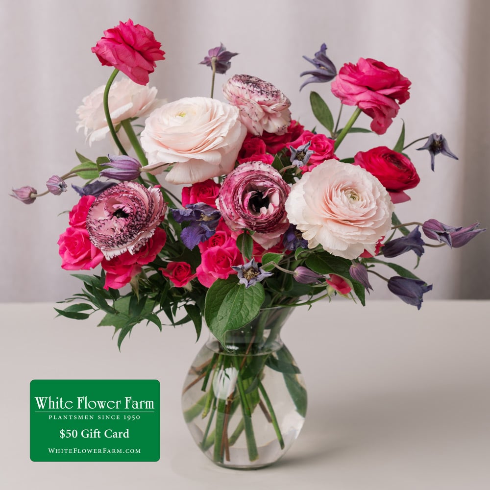 Passion Reimagined Bouquet