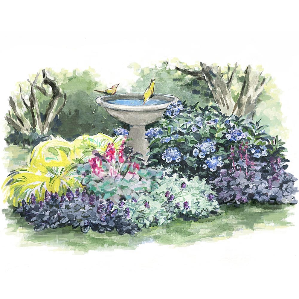 と*け様 新タランチュラ Page & Plant In Japan 6CD+1 と*け様 新タランチュラ Page & Plant In Japan 6CD+1 と*け様 新