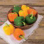  Sweet Pepper Rainbow Sampler 3 plants