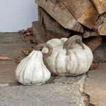  Cinderella Pumpkins, Set of 2, White