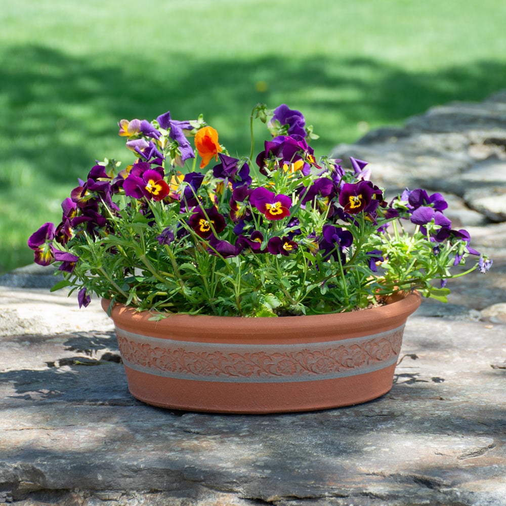 Whichford Garden Border Bowl