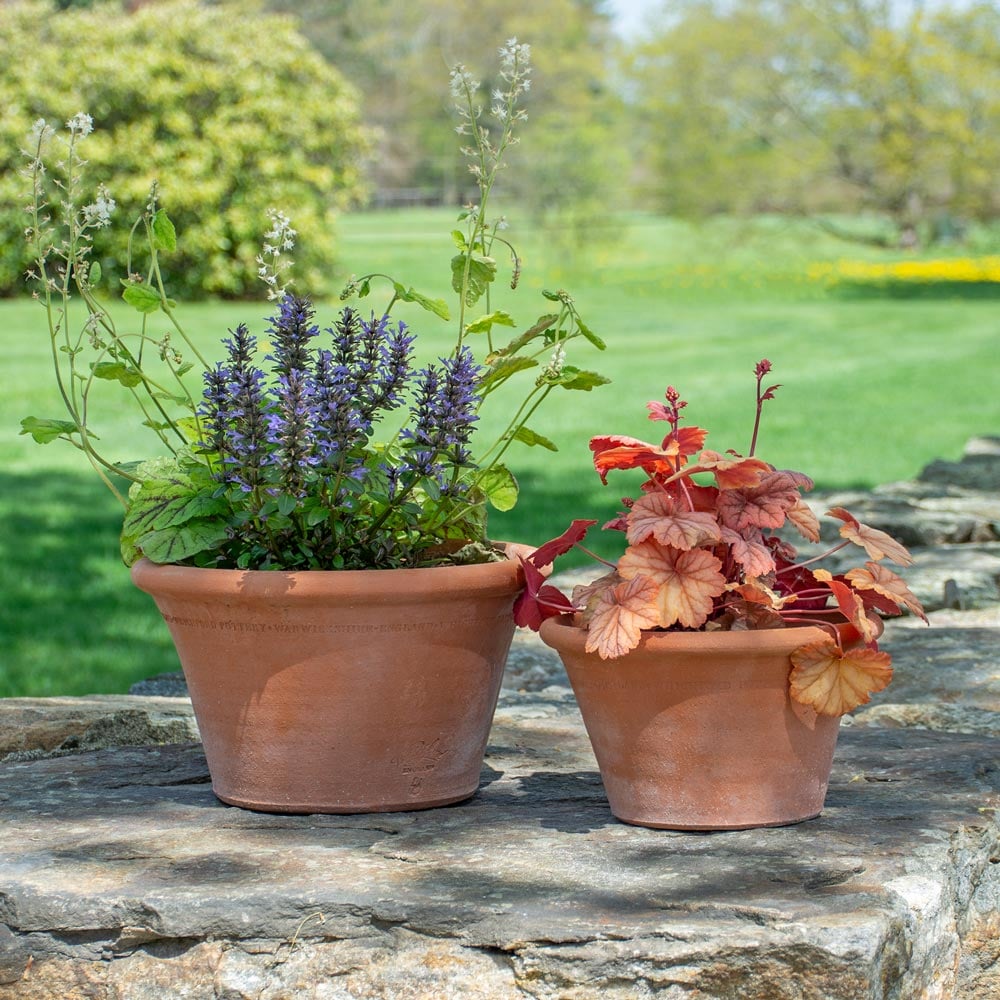 Whichford Halfpot
