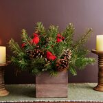 Holiday Cardinal Collection