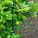  Grid Circle Plant Support