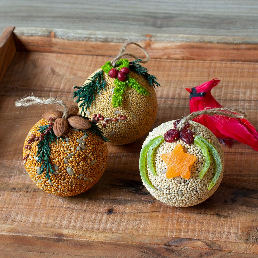 Birdseed Fruit Ornament Trio