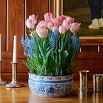  Two for Tea Bulb Garden in large ceramic bowl