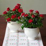  Red Rose Duo in Dotted Ceramic Cachepots
