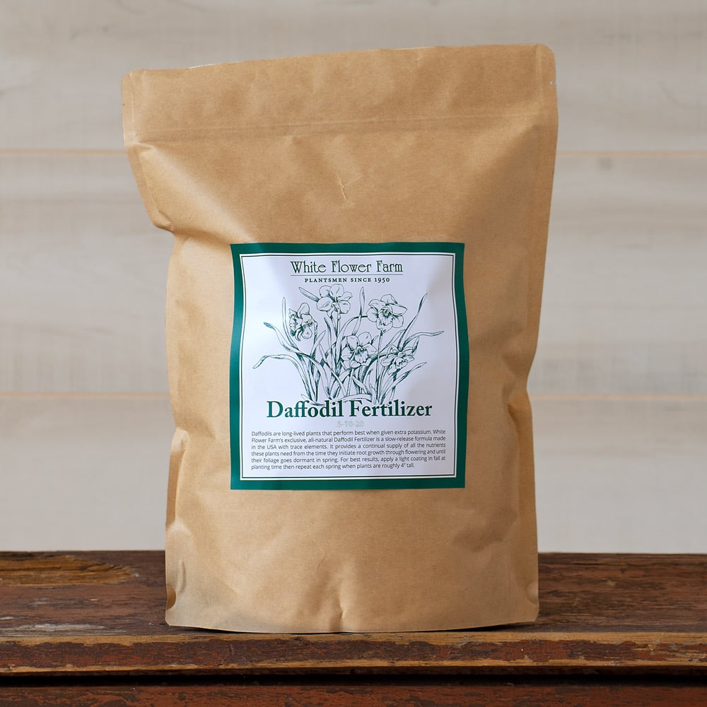 Save 20% on Daffodil Fertilizer