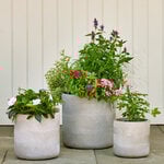  Barcelona Cylinder Planters, taupe