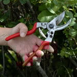  Premium Gardening Pruners