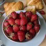  Strawberry 'Gariguette'