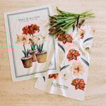  WFF 75th Anniversary Amaryllis Tea Towels