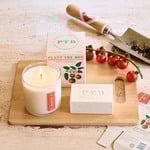  Plant the Box Wild Tomato Vine Collection