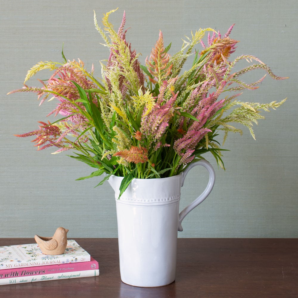Annuals for Cutting