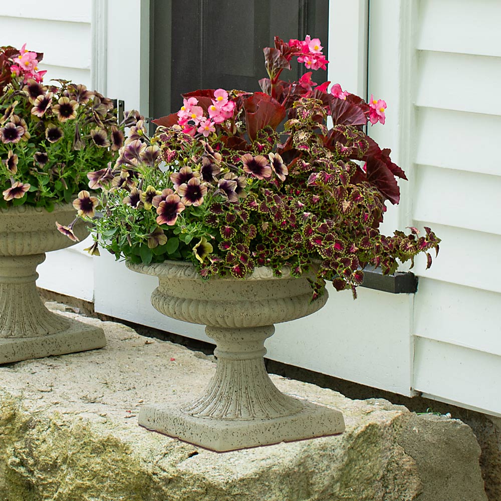 Burgundy Brocade Container Garden