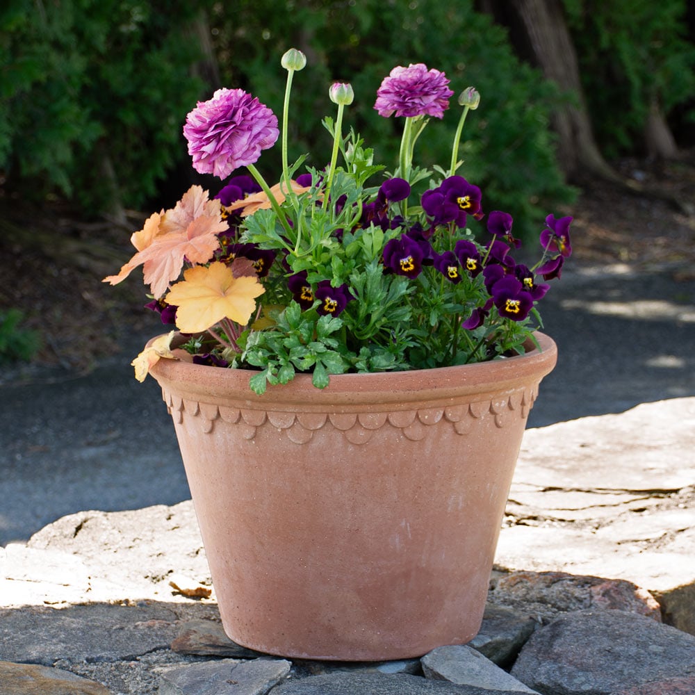 Passion for Purple Spring Container Garden | White Flower Farm